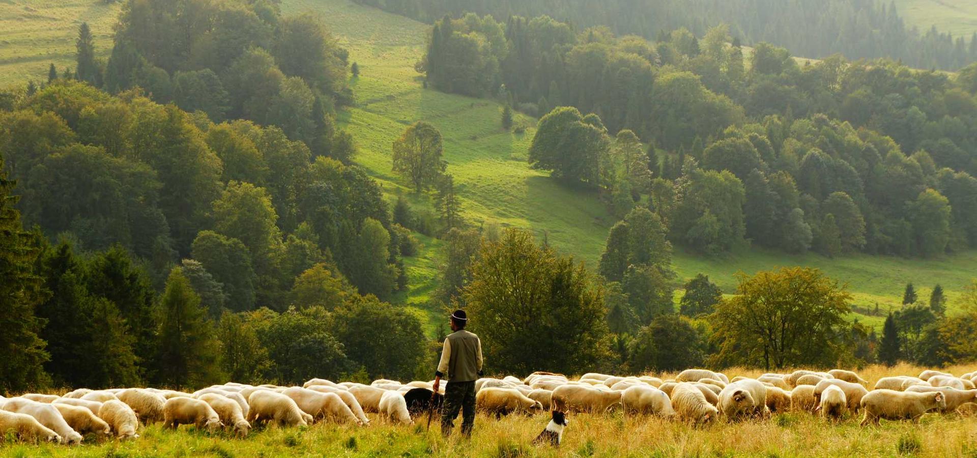 Certifieringar och kvalitet
